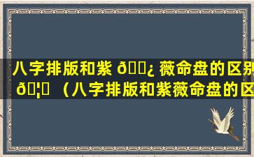 八字排版和紫 🌿 薇命盘的区别 🦊 （八字排版和紫薇命盘的区别是什么）